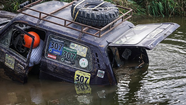 他们的决策 他们的决策