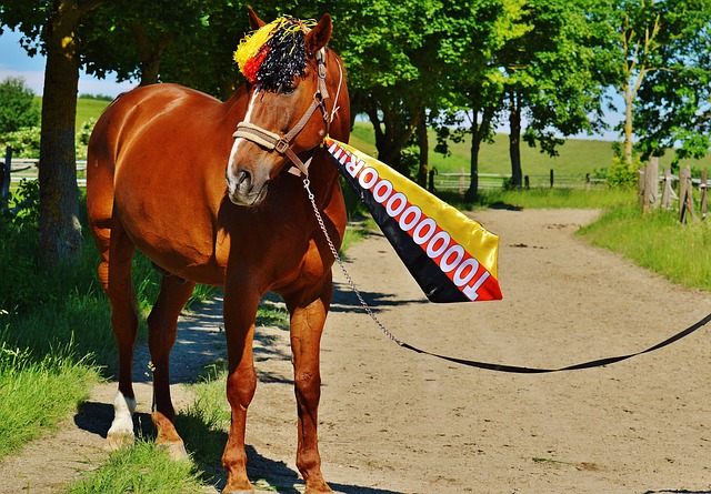 中的表现依 中的表现依