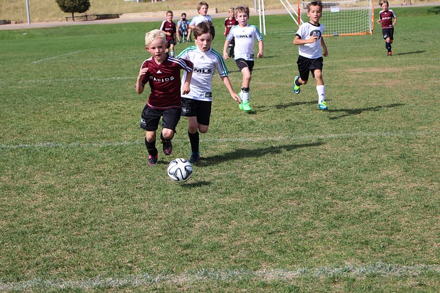 与意甲的全 与意甲的全