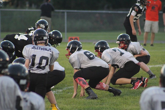 球场上的激 球场上的激