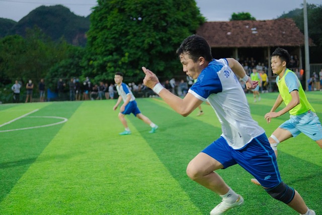 數季 數季